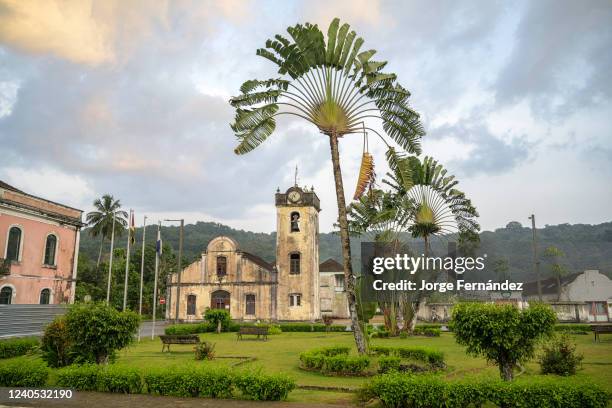 Traveler's palm trees in the Marcelo da Veiga square next to the church of Santo Antonio.