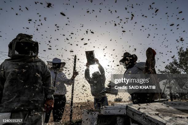 Palestinian beekeepers collect honey from beehives at an apiary during the annual harvest season in Khan Yunis in the southern Gaza Strip on May 9,...