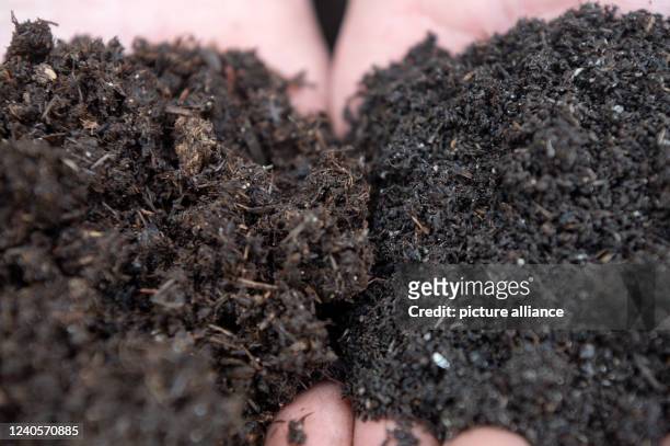 May 2022, Hessen, Rheinheim: Worm farmer Benjamin Fröse holds soil that has not yet been transformed by earthworms in his Bestworm business on the...