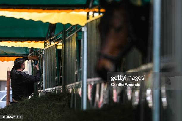 Volunteer works in a temporary evacuation stable in Lviv, Ukraine on May 09, 2022. One month after the start of Russia's war on Ukraine, Larysa...