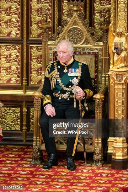 Prince Charles, Prince of Wales reads the Queen's speech in the House of Lords Chamber, during the State Opening of Parliament in the House of Lords...