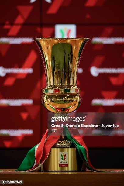 3 623 Coppa Italia Trophy Stock Photos High Res Pictures And Images 3-623-coppa-italia-trophy-stock-photos-high-res-pictures-and-images