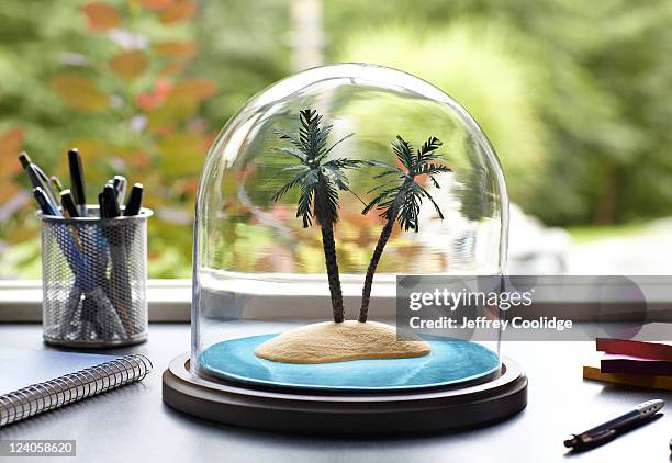 tropical island under glass dome - desk organizer stock pictures, royalty-free photos & images
