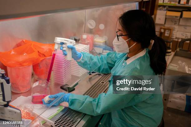 Mary Jane Navarro prepares to wash cells of serum, separated from the blood of vaccinated mice, while working on vaccine and protein research in the...