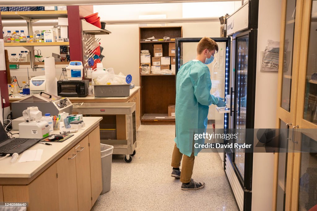 University Of Washington Develops New GPB510 Covid Vaccine