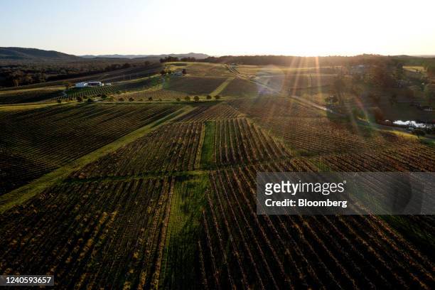 Vineyards in Pokolbin, New South Wales, Australia, on Friday, May 6, 2022. The Hunter Valley is one of huge contrasts, with bucolic century-old...
