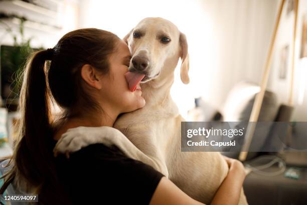 hund umarmt und lecken frau - licking stock-fotos und bilder