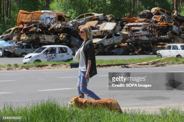 Woman walks with her dogs near the destroyed Ukraine citizens vehicles lie in a garbage dump in Bucha, on the outskirts of Kyiv. The liberation of...