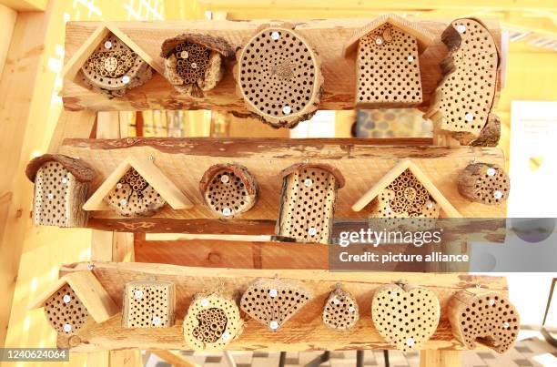 Germany, Neuenburg am Rhein Regional State Garden Show - Landesgartenschau, Gartenschau, Bee Hotel, Bienenhotel, Bees, Bienen, Biene