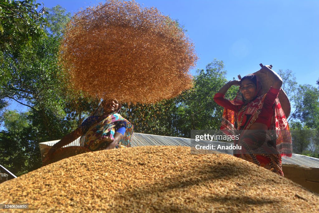 World Farmers Day in Bangladesh