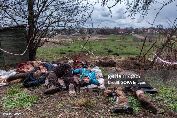 Dead bodies of three women and two children , killed by the Russian army in Havronschchyna while fleeing Hostomel by car during the Russian...
