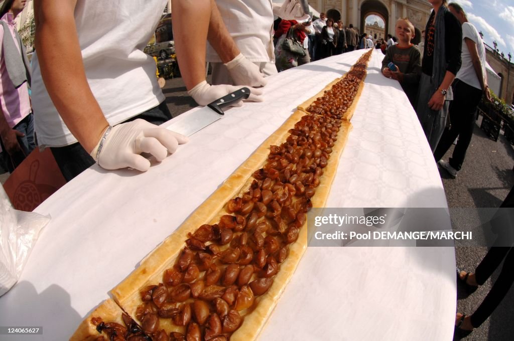 The Largest Tart Cherry Plum In The World, 325 Meters Long And 45 Centimeters In Nancy, France On September 01, 2007.