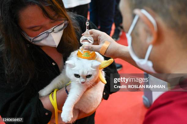 Devotee gets her pet cat blessed by a Buddhist monk at Thekchen Choling temple on the eve of Vesak day in Singapore on May 14, 2022.