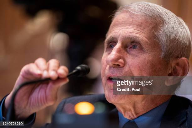 Director of the National Institute of Allergy and Infectious Diseases Dr. Anthony Fauci testifies during the Senate Appropriations Subcommittee on...