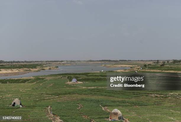 Farming huts in a field next to the Chair river in N'Djamena, Chad, on Monday, May 10, 2022. Last year, Chad became the first country to request a...