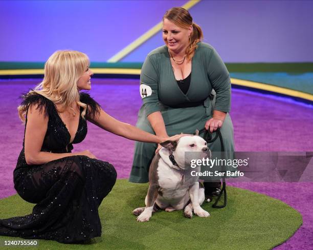 The American Rescue Dog Show is the preeminent dog competition featuring rescued companions as they strut their fluff, competing for a slew of best...