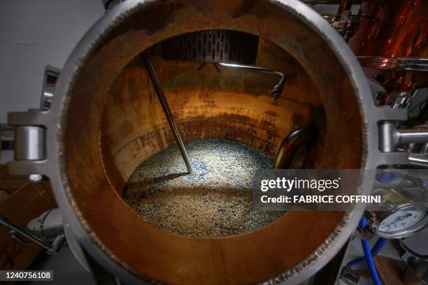 This photograph shows a view inside Gagygnole distillery's 2.5-metre high copper still during a gin distillation operation in Souboz, northern...