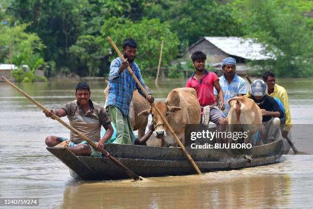 Villagers travel with their cattle on a boat through a flooded area after heavy rains in Nagaon district, Assam state, on May 19, 2022. - At least 10...