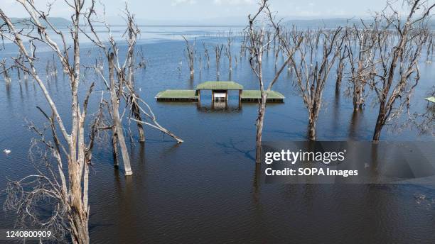 Aerial view of the submerged office buildings of the former main entrance to Lake Nakuru National Park. Over the last 10 years, Lakes in The Rift...