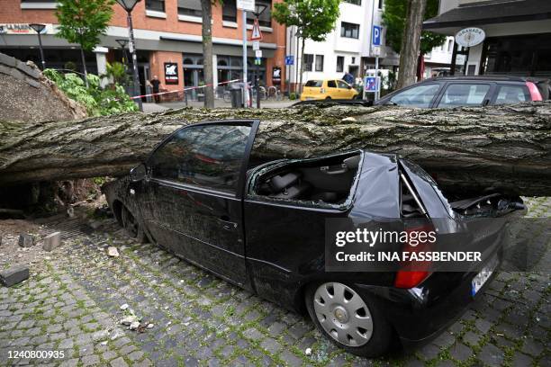 The trunk of an uprooted tree lies on a destroyed car in the city centre of Paderborn, western Germany on May 21 the day after a storm caused major...