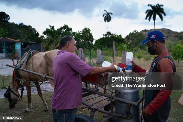 Raul Rodriguez pours bottles of milk from his farm, Pinas Alta, into the large community vessel of milk. Yosbel Bello Hernandez, right makes the...