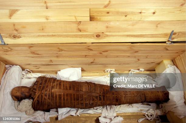 The golden mummies of oasis In El Bahariya, Egypt In June, 1999 - Mummy in a packing case.