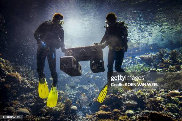 Divers assemble a piece of biodegradable material with several coral colonies in the tropical coral reef of Burgers' Ocean aquarium in Arnhem, on May...