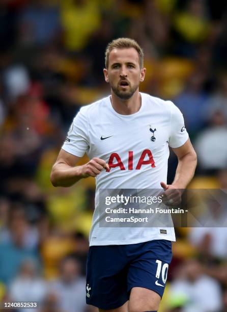 485,715 Tottenham Squad Stock Photos, High-Res Pictures, and Images - Getty Images