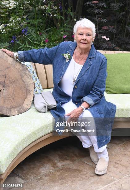 Dame Judy Dench attends press day at the RHS Chelsea Flower Show at The Royal Hospital Chelsea on May 23, 2022 in London, England.