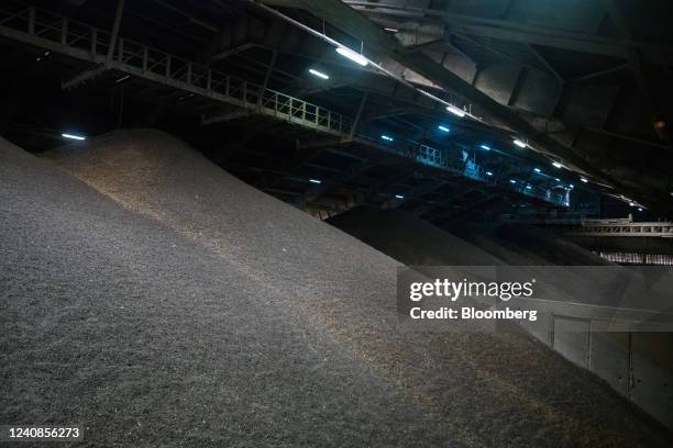 Stockpile of sunflower seeds in a warehouse at the Port of Constanta in Constanta, Romania, on Thursday, May 19, 2022. Global cooking oil prices have...