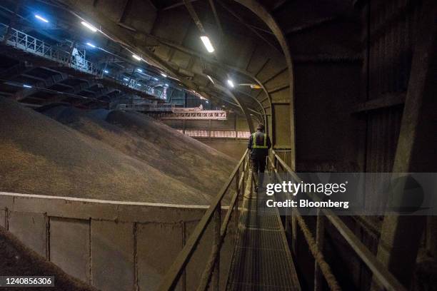 Stockpile of sunflower seeds in a warehouse at the Port of Constanta in Constanta, Romania, on Thursday, May 19, 2022. Global cooking oil prices have...