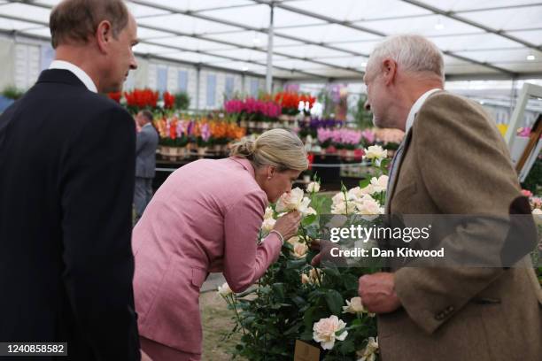 Sophie, Countess of Wessex smells a rose on the 'Harkness Roses' stand on May 23, 2022 in London, England. On the stand was another rose, The John...