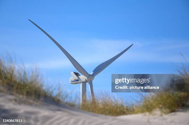 April 2022, Denmark, Hvide Sande: A wind turbine with the inscription "Vestas" stands against a blue sky between sand dunes near the village of Hvide...