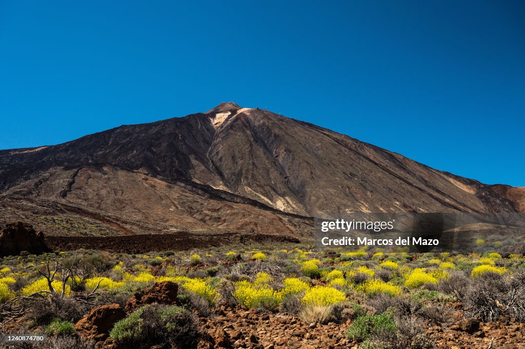 View of the peak of Mount Teide volcano, in Teide National...