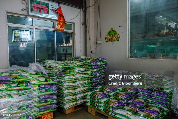 Packet Rice Countown Rice Packet Photos and Premium High Res Pictures - Getty Images