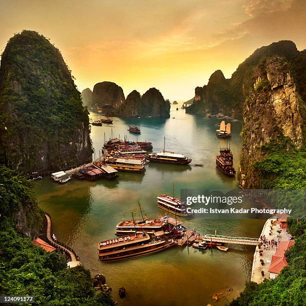 cruise boats in halong bay - halong bay stock pictures, royalty-free photos & images