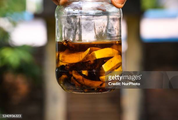 Old Traditional homemade Sun-Dried Raw Mango Pickle in oil known as ''Aam Tel'' is made with mango pickle made with fresh raw mango. In the Bengali...