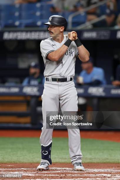 New York Yankees second baseman Matt Carpenter at bat during the MLB regular season game between the New York Yankees and the Tampa Bay Rays on May...