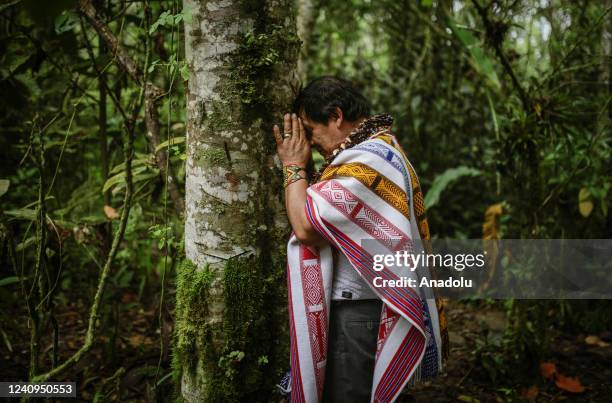 Kamentsa Indigenous Community in Putumayo's Sinbundoy municipality, an ancient culture, is taught mainly in the family, but due to the relationship...