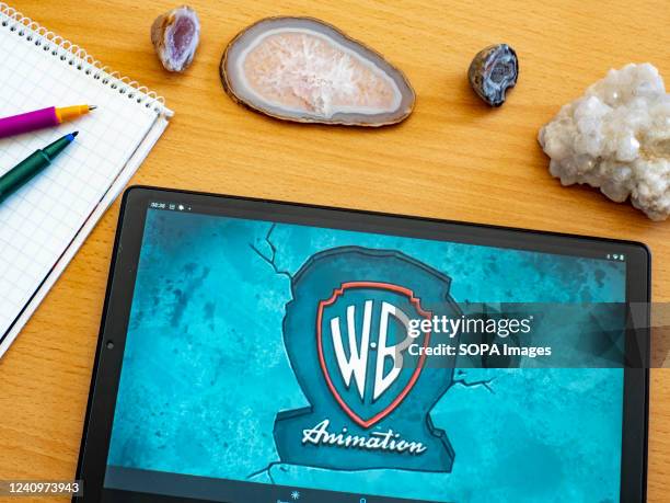 176 Warner Bros Logo Photos and Premium High Res Pictures - Getty Images 176 Warner Bros Logo Photos and Premium High Res Pictures - Getty Images