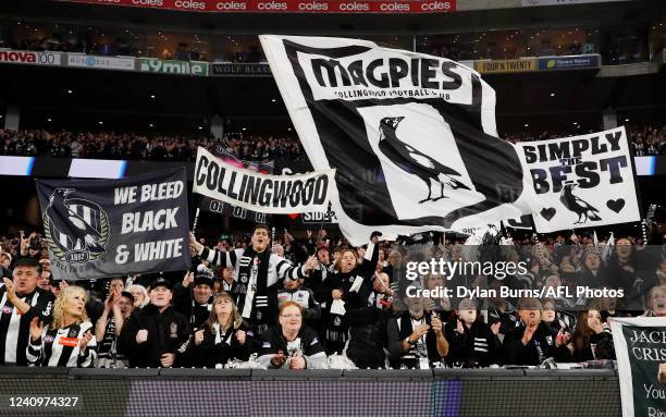 Collingwood fans celebrate during the 2022 AFL Round 11 match between the Collingwood Magpies and the Carlton Blues at the Melbourne Cricket Ground...