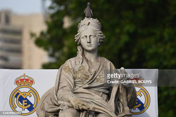 a-pigeon-stands-ontop-of-a-statue-of-greek-goddess-cybele-prior-to-the-arrival-of-real-madrid.jpg