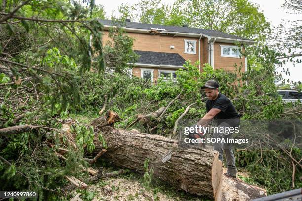 Lumberjack helps the owner of a damaged house get rid of the fallen trees. The storm on the 21st of May in the province of Quebec left a trail of...