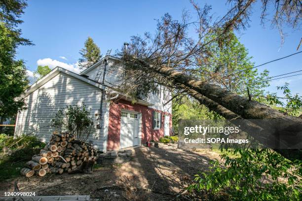 Tree leaning on the rooftop of a damaged house is seen after the storm. The storm on the 21st of May in the province of Quebec left a trail of...