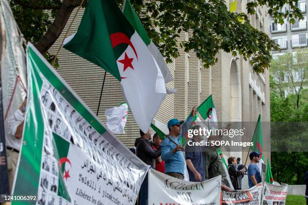 Group of Hirakim protesters with Algerian flags and chanting, challenge the Consulate's employees to join the protest. Four years into the Algerian...