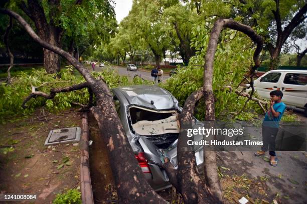 View of an uprooted tree on Motilal Nehru Marg following heavy thunderstorms and rain shower on May 30, 2022 in New Delhi, India. Parts of Delhi and...