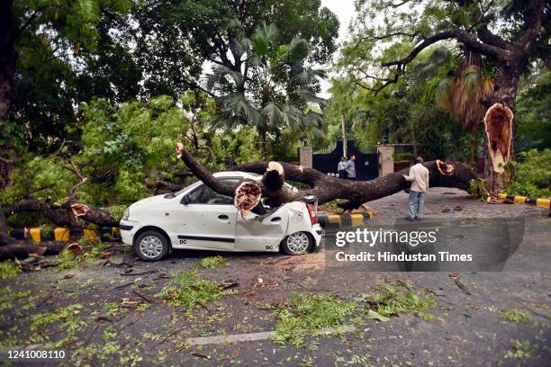 View of an uprooted tree on Tees January Marg following heavy thunderstorms and rain shower on May 30, 2022 in New Delhi, India. Parts of Delhi and...