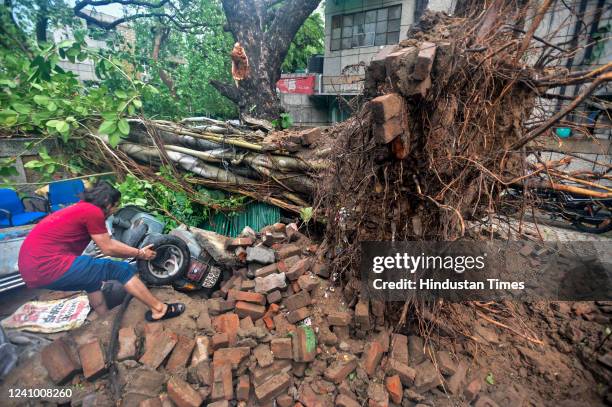 Ifm Tree 24 Raj Mathur Stock Photos, High-Res Pictures, and Images - Getty Images