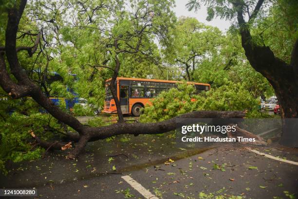 Bus stuck between uprooted trees on Kasturba Gandhi Marg following heavy thunderstorms and rain showers on May 30, 2022 in New Delhi, India. Parts of...