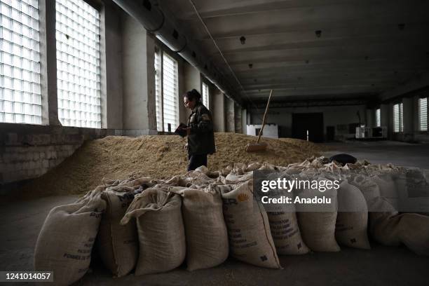 Farmer shovel seeds on an agricultural land as the Russian attacks effect agriculture sector negatively in Kyiv, Ukraine on May 30, 2022.